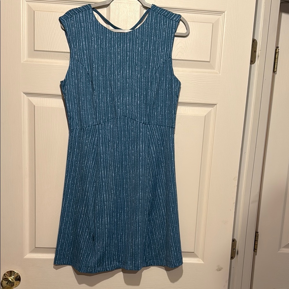Title Nine Steadfast dress